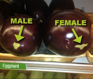 Illustration for article titled Know what to look for when buying eggplant